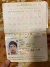5Wupt12.webp