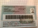515188.webp